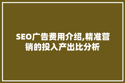 SEO广告费用介绍,精准营销的投入产出比分析