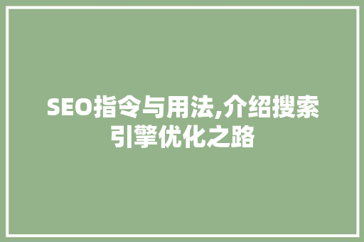SEO指令与用法,介绍搜索引擎优化之路