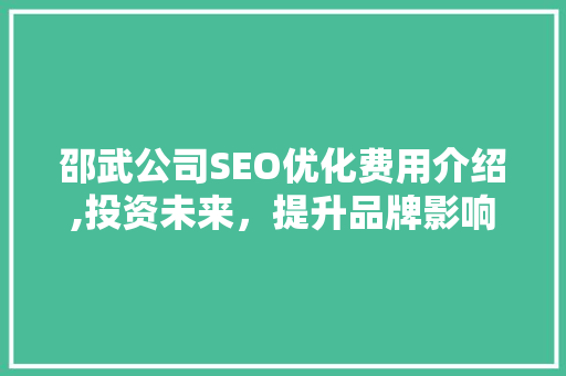 邵武公司SEO优化费用介绍,投资未来，提升品牌影响力