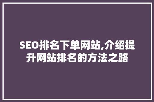 SEO排名下单网站,介绍提升网站排名的方法之路