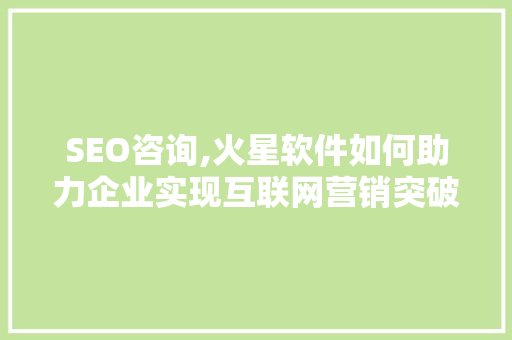SEO咨询,火星软件如何助力企业实现互联网营销突破
