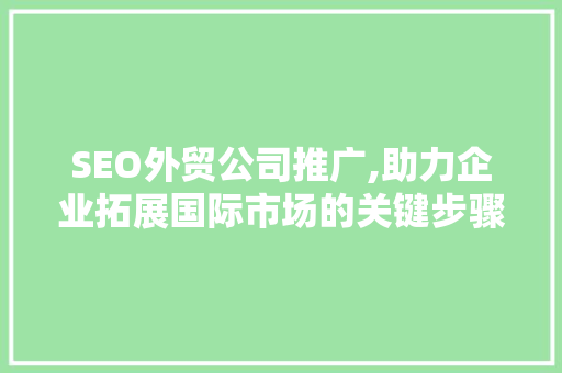 SEO外贸公司推广,助力企业拓展国际市场的关键步骤