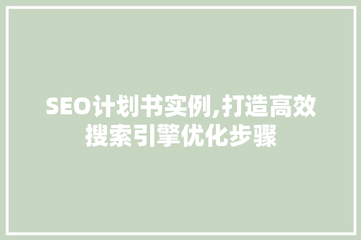 SEO计划书实例,打造高效搜索引擎优化步骤