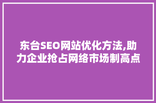 东台SEO网站优化方法,助力企业抢占网络市场制高点