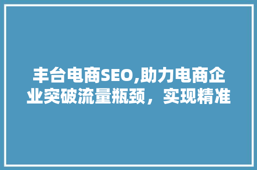 丰台电商SEO,助力电商企业突破流量瓶颈，实现精准营销