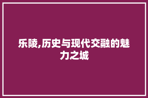 乐陵,历史与现代交融的魅力之城