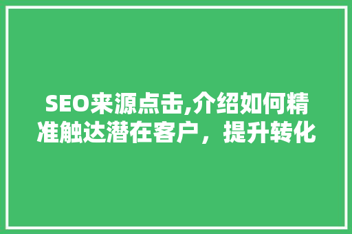 SEO来源点击,介绍如何精准触达潜在客户，提升转化率