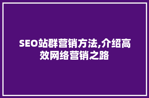 SEO站群营销方法,介绍高效网络营销之路