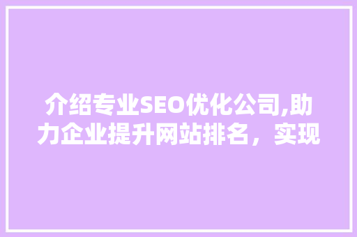 介绍专业SEO优化公司,助力企业提升网站排名，实现网络营销新突破
