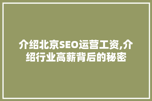 介绍北京SEO运营工资,介绍行业高薪背后的秘密  第1张