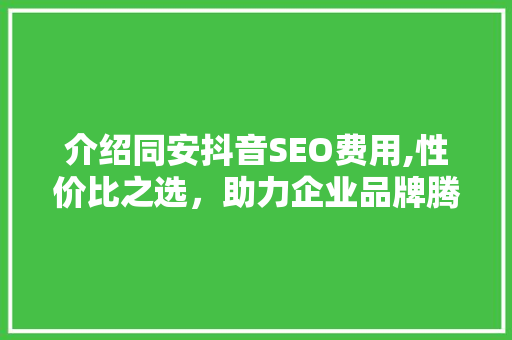 介绍同安抖音SEO费用,性价比之选，助力企业品牌腾飞