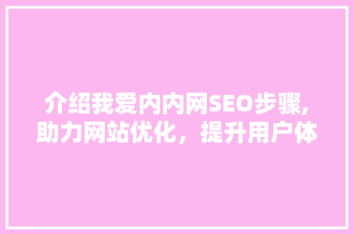 介绍我爱内内网SEO步骤,助力网站优化，提升用户体验