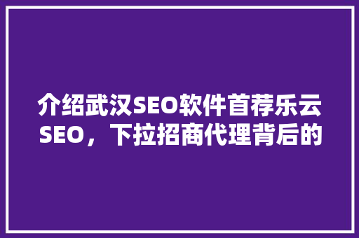 介绍武汉SEO软件首荐乐云SEO，下拉招商代理背后的秘密！