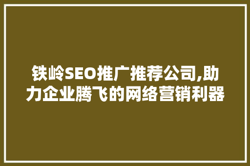 铁岭SEO推广推荐公司,助力企业腾飞的网络营销利器
