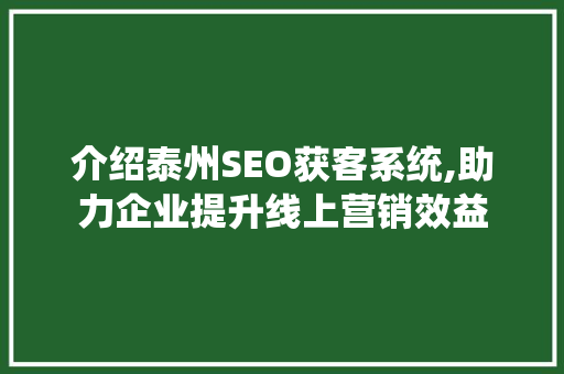 介绍泰州SEO获客系统,助力企业提升线上营销效益