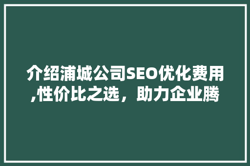 介绍浦城公司SEO优化费用,性价比之选，助力企业腾飞