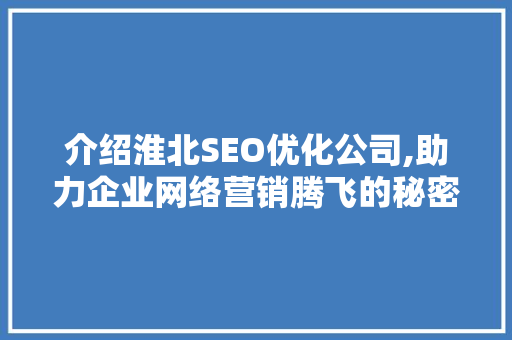 介绍淮北SEO优化公司,助力企业网络营销腾飞的秘密武器