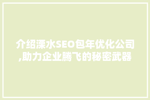 介绍溧水SEO包年优化公司,助力企业腾飞的秘密武器