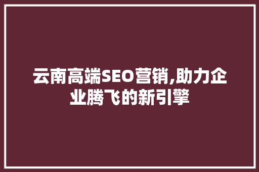 云南高端SEO营销,助力企业腾飞的新引擎
