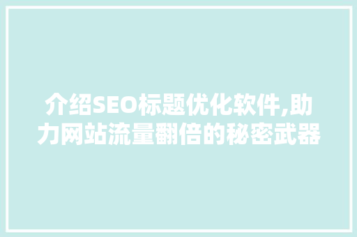 介绍SEO标题优化软件,助力网站流量翻倍的秘密武器