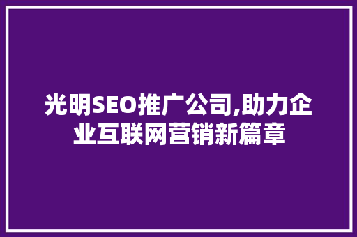 光明SEO推广公司,助力企业互联网营销新篇章