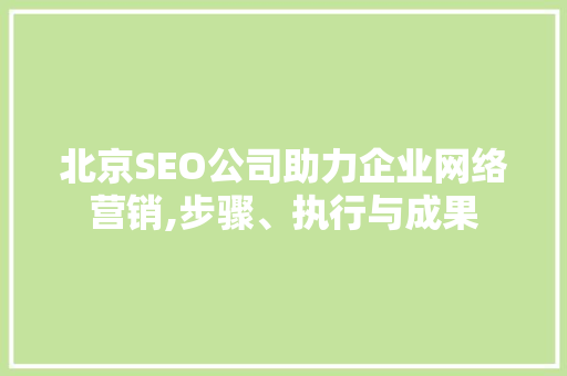 北京SEO公司助力企业网络营销,步骤、执行与成果