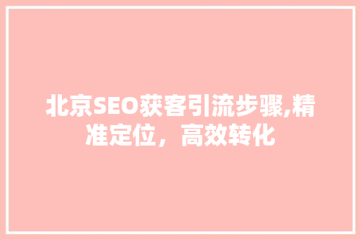 北京SEO获客引流步骤,精准定位，高效转化