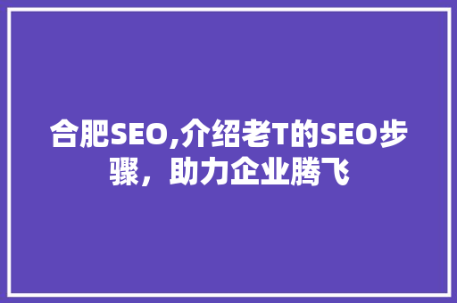 合肥SEO,介绍老T的SEO步骤，助力企业腾飞