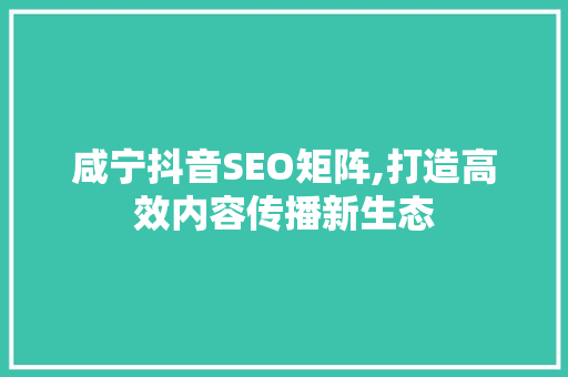 咸宁抖音SEO矩阵,打造高效内容传播新生态
