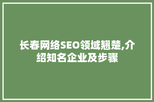 长春网络SEO领域翘楚,介绍知名企业及步骤