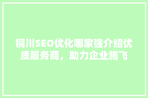 铜川SEO优化哪家强介绍优质服务商，助力企业腾飞