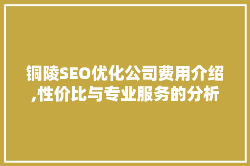 铜陵SEO优化公司费用介绍,性价比与专业服务的分析之路