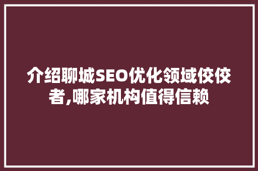 介绍聊城SEO优化领域佼佼者,哪家机构值得信赖