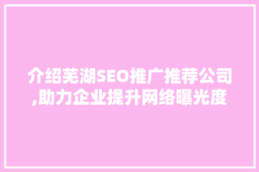 介绍芜湖SEO推广推荐公司,助力企业提升网络曝光度的专业之路