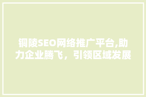 铜陵SEO网络推广平台,助力企业腾飞，引领区域发展新风向