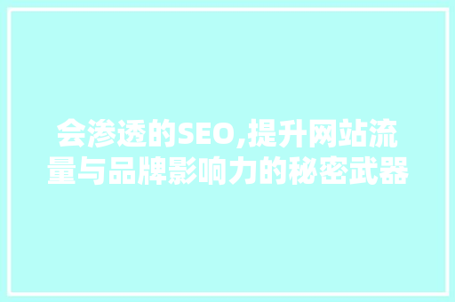 会渗透的SEO,提升网站流量与品牌影响力的秘密武器