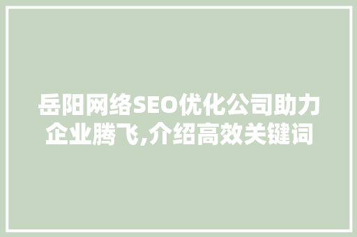 岳阳网络SEO优化公司助力企业腾飞,介绍高效关键词布局之路  第1张
