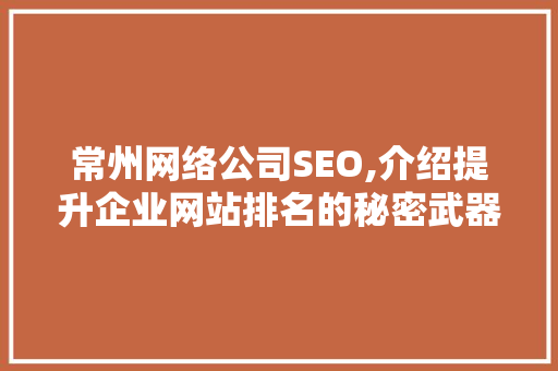 常州网络公司SEO,介绍提升企业网站排名的秘密武器