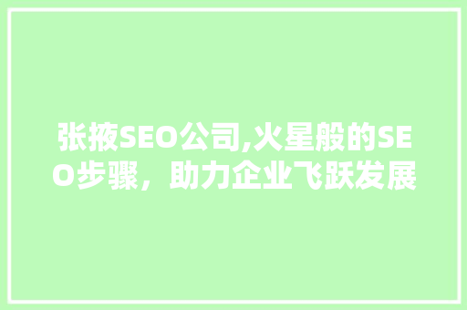 张掖SEO公司,火星般的SEO步骤，助力企业飞跃发展