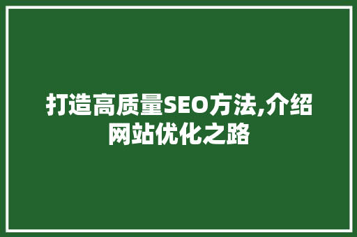 打造高质量SEO方法,介绍网站优化之路