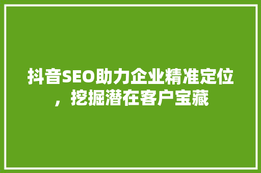 抖音SEO助力企业精准定位，挖掘潜在客户宝藏
