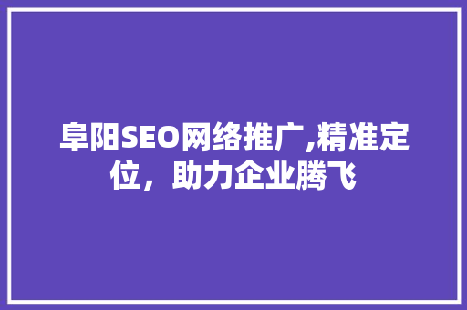 阜阳SEO网络推广,精准定位，助力企业腾飞