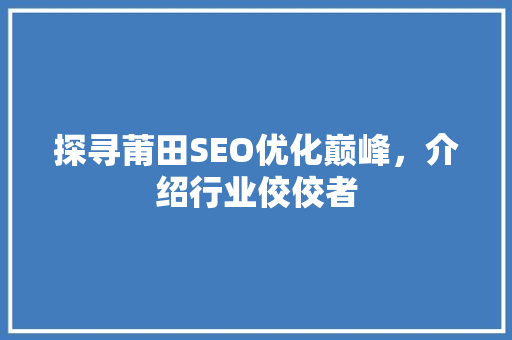 探寻莆田SEO优化巅峰，介绍行业佼佼者