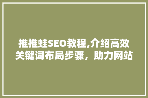 推推蛙SEO教程,介绍高效关键词布局步骤，助力网站优化