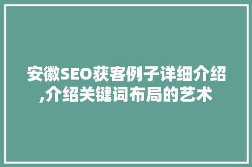 安徽SEO获客例子详细介绍,介绍关键词布局的艺术