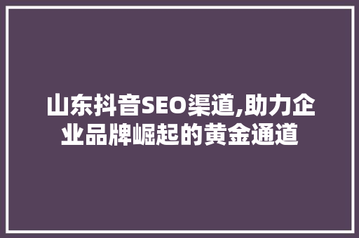 山东抖音SEO渠道,助力企业品牌崛起的黄金通道