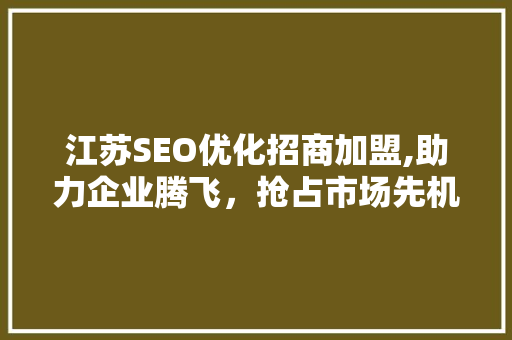 江苏SEO优化招商加盟,助力企业腾飞，抢占市场先机
