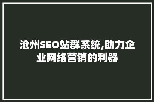 沧州SEO站群系统,助力企业网络营销的利器