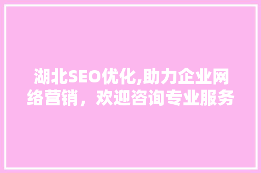 湖北SEO优化,助力企业网络营销，欢迎咨询专业服务