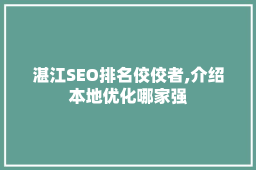 湛江SEO排名佼佼者,介绍本地优化哪家强